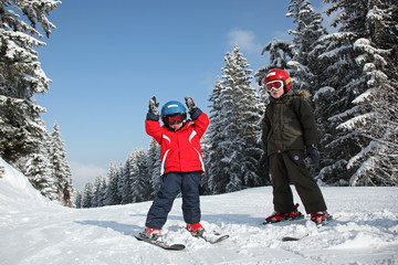 Jeunes skieurs sur une piste verte - 20539413