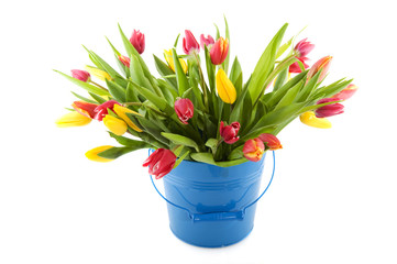 Colorful tulips in spotted vase