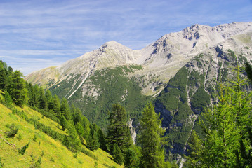 Ortler Massiv - Ortler Alps 15