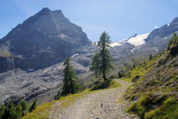 Ortler Massiv - Ortler Alps 19