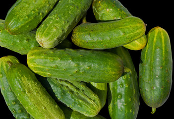 Cucumbers 2