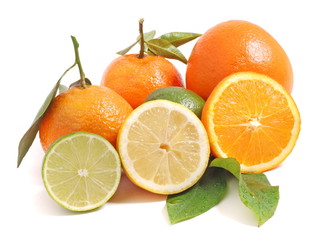 Fruit - citrus
