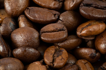 Kaffeebohnen Detail 02