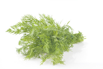 Dill isolated on white