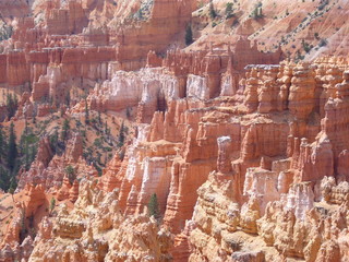 Land of grag in Bryce Canyon