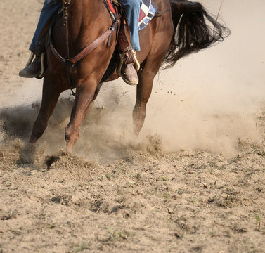 Running horse during a rodeo event