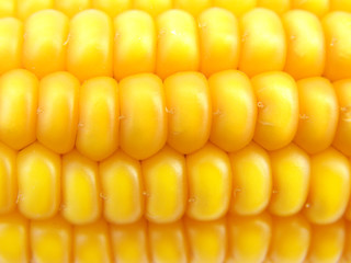 Macro Corn