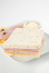 Fototapeta na wymiar delicious ham and cheese sandwich