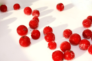 red currants