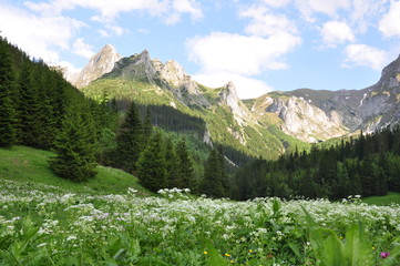 Polany w Tatrach