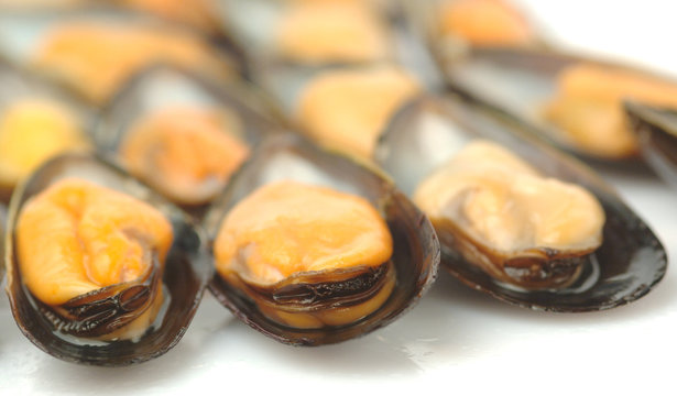 Cozze