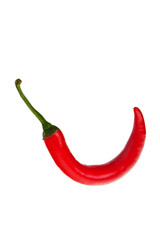 A red hot chilli pepper on white background.
