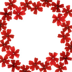 Frame from spring flowers