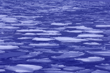 Eisschollen auf der Ostsee