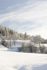 Winter landscape