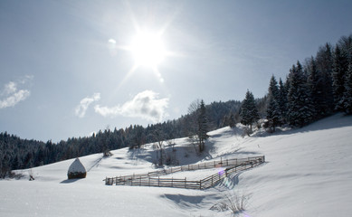 Winter landscape