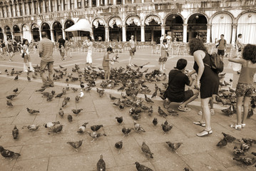 Obraz premium place saint marc à Venise