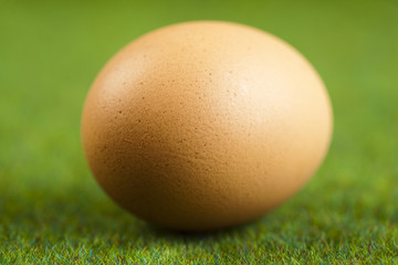 Egg