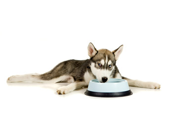 Fototapeta premium Lunch