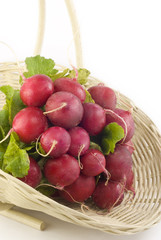 Fresh Radishes in a Basket