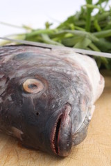 Tilapia with welsh onion and coriander /  罗非鱼