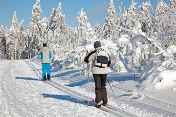 Ski Langlauf  4592