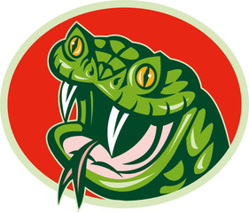 Snake viper baring fangs