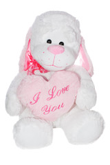 Isolated plush toy dog on white background