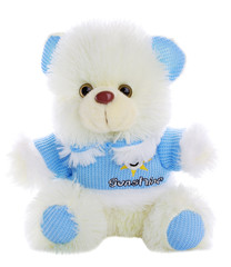 Teddy bear isolated on white background