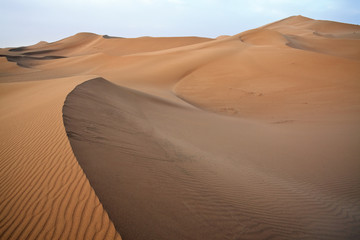Fototapeta na wymiar Sand dunes in Sahara.