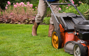 Gardener mowing the lawn.