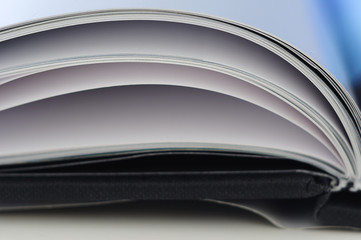 Hojas de libro