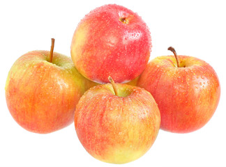 Apples