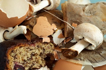 compost organic garbage
