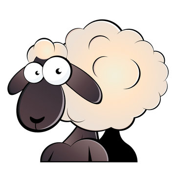 schaf cartoon lamm lustig