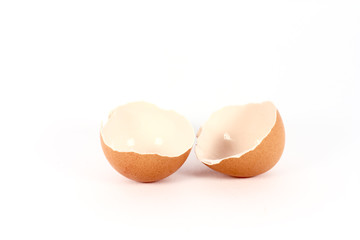 Egg shell