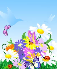 Photo sur Plexiglas Papillon Fleurs sauvages