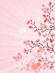 Obraz na płótnie Canvas Japanese cherry blossom