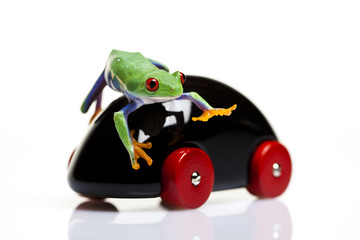 Wooden car and frog
