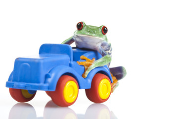 Fototapeta premium Car toy and crazy frog