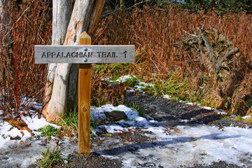 appalachian trail in Great Smoky Mountains, USA