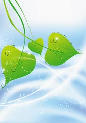Foto op Plexiglas Beautiful green leaf background, vector illustration © blina