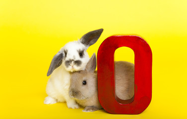 o