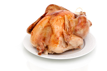 Whole turkey on white background