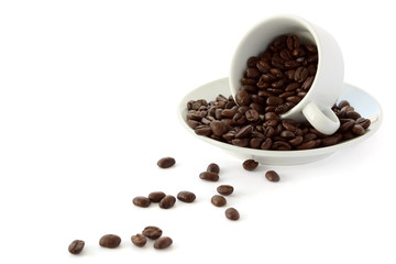 Coffee beans cup