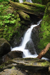 Bunch Creek Falls