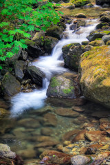 Fototapeta na wymiar Bunch Creek Falls