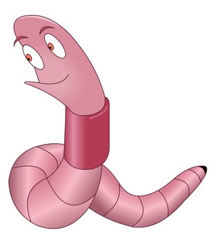 happy worm