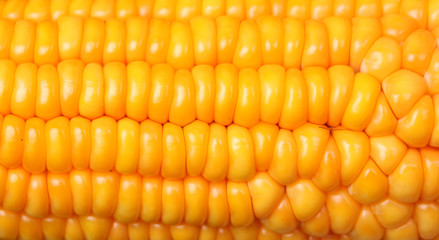 Corn
