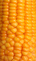 Corn